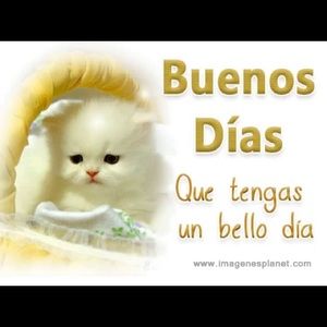 Meet your Posher, Cherly